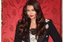 عدسة محمد يوسف