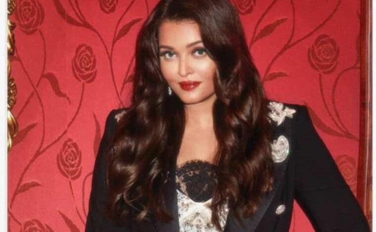 عدسة محمد يوسف